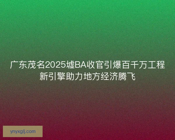 广东茂名2025墟BA收官引爆百千万工程新引擎助力地方经济腾飞 广东茂名2025墟BA收官引爆百千万工程新引擎助力地方经济腾飞